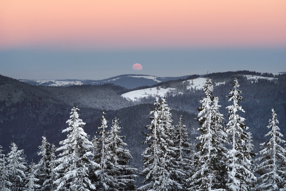 Att växa upp i en samisk vintersaga